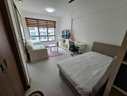 Blk 355A Anchorvale Plains (Sengkang), HDB 2 Rooms #564754751